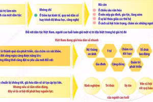 Khơi dậy tinh thần "tuổi cao chí khí càng cao" trong giai đoạn phát triển mới