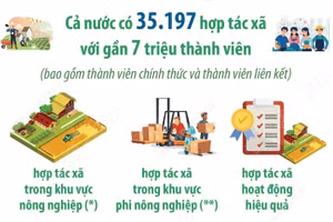 Hợp tác xã đang từng bước khẳng định vai trò trong hệ sinh thái kinh tế quốc gia