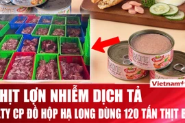 :Chi tiết vụ 120 tấn thịt lợn nhiễm dịch tả tại Công ty Đồ hộp Hạ Long