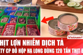 Chi tiết vụ 120 tấn thịt lợn nhiễm dịch tả tại Công ty Đồ hộp Hạ Long