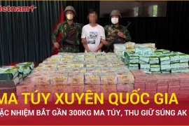 Công an, Biên phòng Quảng Trị và Đà Nẵng phá đường dây ma túy xuyên quốc gia