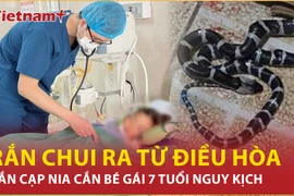 Sức khỏe của bé gái bị rắn cạp nia chui từ điều hòa cắn hiện ra sao?