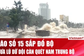 Cảnh báo bão số 15 mang theo mưa lũ dữ dội hướng về Nam Trung Bộ