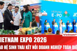 Vietnam Expo 2026: Kết nối chuỗi cung ứng trong bối cảnh quốc tế mới 