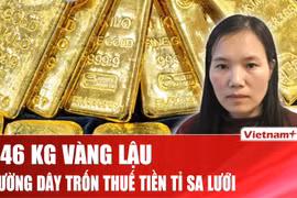 546 kg vàng và tiền tỷ trốn thuế trong đường dây buôn lậu bị lật tẩy