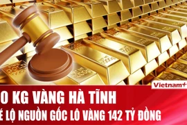 Hé lộ nguồn gốc gần 30kg vàng được tỉnh Hà Tĩnh rao bán đấu giá 