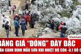 Băng giá phủ trắng đỉnh Mẫu Sơn trong đợt rét mạnh