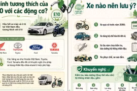 Bộ Công Thương cảnh báo rủi ro với một số dòng xe khi sử dụng xăng E10