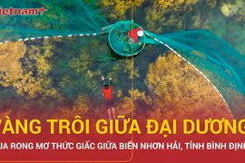Mùa rong mơ thức giấc giữa biển Nhơn Hải, du lịch Bình Định hút khách 