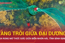 Mùa rong mơ thức giấc giữa biển Nhơn Hải, du lịch Bình Định hút khách 