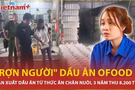 Vụ sản xuất dầu ăn giả với doanh thu hơn 8.200 tỷ đồng, Bộ Y tế nói gì?