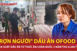 Vụ sản xuất dầu ăn giả với doanh thu hơn 8.200 tỷ đồng, Bộ Y tế nói gì?