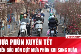 Mưa phùn có thể bao trùm miền Bắc trong cả Tết Nguyên đán 2026