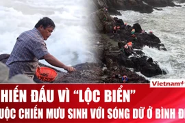 Cuộc chiến với sóng dữ vì “lộc biển” ở Bình Định 