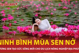 Mùa sen nở rộ thu hút du khách đến với vùng non nước hùng vĩ Ninh Bình