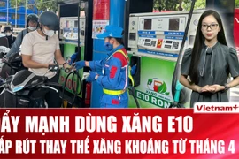 Xăng sinh học E10 chính thức ‘phủ sóng’ toàn quốc từ đầu tháng 4/2026 
