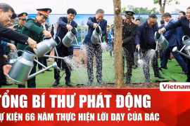Lễ phát động "Tết trồng cây" được tổ chức đồng loạt trên toàn thành phố Hà Nội