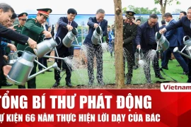Lễ phát động "Tết trồng cây" được tổ chức đồng loạt trên toàn thành phố Hà Nội
