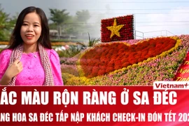 Thủ phủ hoa 300 năm tuổi Sa Đéc tấp nập khách “check-in” đón Tết