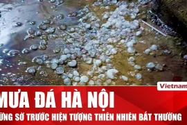 Mưa đá xuất hiện tại nhiều khu vực Hà Nội trong cơn dông sáng 30/3 