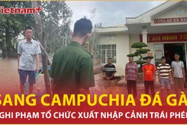 Bắt nghi phạm đưa người xuất cảnh trái phép sang Campuchia đá gà 