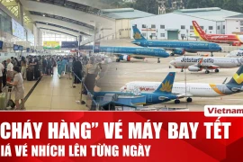 Vé máy bay Tết Nguyên đán 2026 tiếp tục khan hiếm dù nhiều hãng bay trở lại