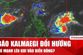 Bão Kalmaegi đổi hướng, có khả năng mạnh hơn khi vào Biển Đông 