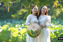 Giới trẻ chen chân check-in hồ sen trắng "tiến vua" ở cố đô Huế