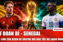 Dự đoán Bỉ - Senegal: Bản lĩnh Kevin De Bruyne đối đầu tốc độ của Sadio Mané