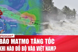 Bão Matmo tăng cấp “chóng mặt”, dự báo đổ bộ Việt Nam khi nào?