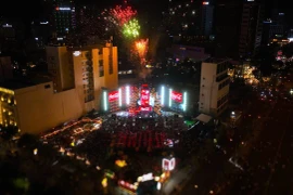 Màn trình diễn pháo hoa tại Lễ hội Chào đón Năm Mới của Coca-Cola 