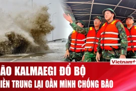 Cảnh báo bão Kalmaegi giật cấp 17, áp sát đất liền miền Trung 