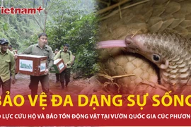 Nỗ lực cứu hộ và bảo tồn động vật hoang dã tại Vườn quốc gia Cúc Phương