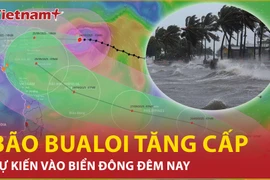 Bão Bualoi vào Biển Đông, dự báo vùng chịu ảnh hưởng đầu tiên