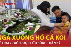 Thót tim khoảnh khắc bé trai 2 tuổi ngã xuống hồ cá koi
