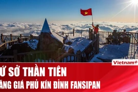 Băng giá phủ kín đỉnh Fansipan, khung cảnh như cổ tích mùa Giáng sinh