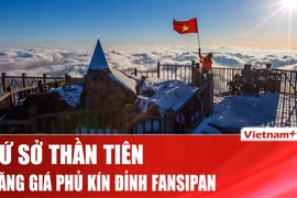 Băng giá phủ kín đỉnh Fansipan, khung cảnh như cổ tích mùa Giáng sinh