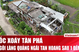 Ngôi làng ở Quảng Ngãi tan hoang sau trận lốc xoáy bất ngờ trong đêm 
