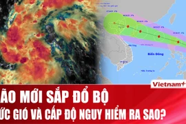 Bão Matmo sắp đổ bộ biển Đông mạnh cỡ nào?