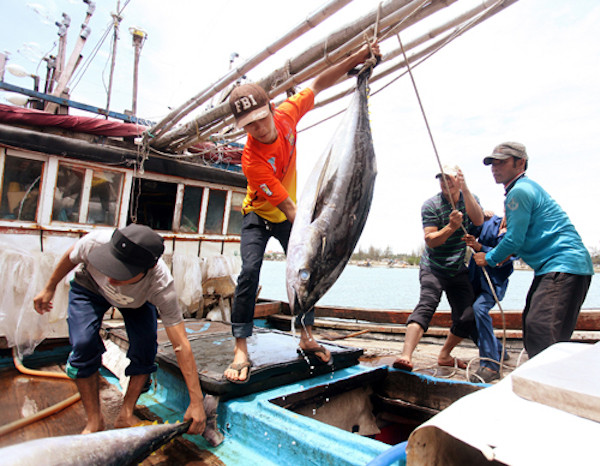 Thái Lan nhận lao động Việt trong nghề đánh cá và xây dựng từ tháng 5 ảnh 1