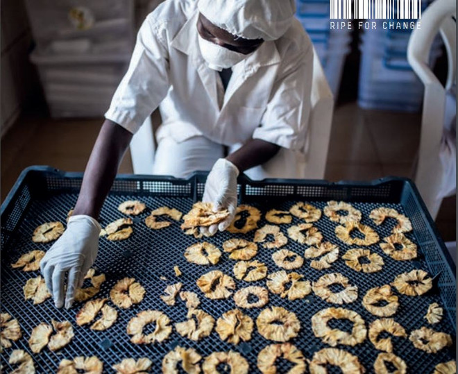 Nỗi thống khổ của hàng triệu lao động trong chuỗi cung ứng siêu thị ảnh 1