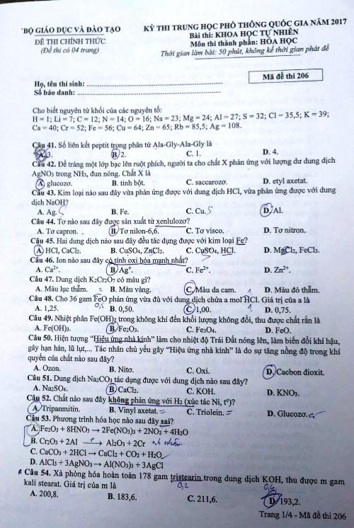 Đề thi và gợi ý giải đề môn Hóa học kỳ thi THPT Quốc gia năm 2017 ảnh 2