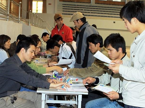 Tư vấn cho lao động đi làm việc ở nước ngoài. (Ảnh minh họa: TTXVN) Xử phạt doanh nghiệp xuất khẩu lao động vi phạm quy định về tuyển dụng ảnh 1