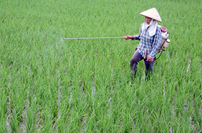 77 việc cấm lao động nữ: Nhiều chị em thất nghiệp... ảnh 1