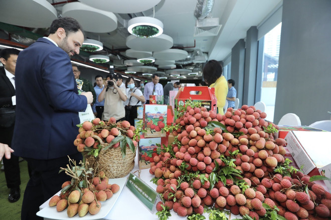 Kết nối mở rộng thị trường để đưa vải thiều Việt Nam vươn ra thế giới ảnh 1