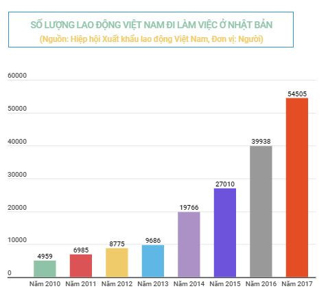 Lao động Việt Nam 'rộng cửa' làm việc tại thị trường Nhật Bản ảnh 2