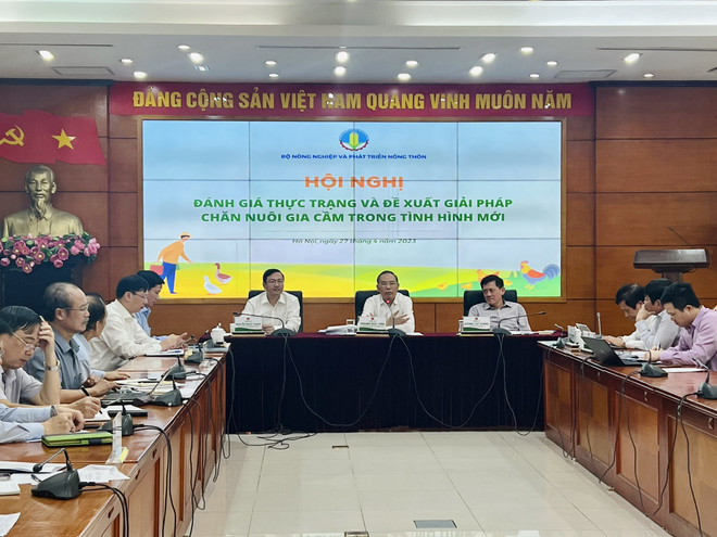 Các đại biểu thảo luận gỡ khó cho chăn nuôi gia cầm. (Ảnh: PV/Vietnam+) Tìm cách đưa ngành chăn nuôi gia cầm thoát cảnh càng nuôi càng lỗ ảnh 2