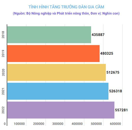 Tìm cách đưa ngành chăn nuôi gia cầm thoát cảnh càng nuôi càng lỗ ảnh 1