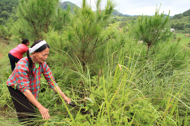 Mức hỗ trợ đào tạo nghề dưới ba tháng cao nhất là 6 triệu đồng ảnh 1