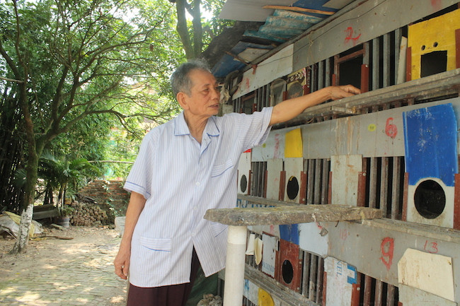 Hai ông lão 80 tuổi chống tham nhũng và niềm tin sắt đá vào công lý ảnh 2